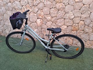 Bicicleta Riverside 120 trekking