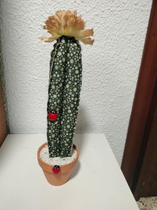 Cactus decorativo -Maceta