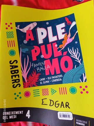 Varios libros texto 4o primaria 