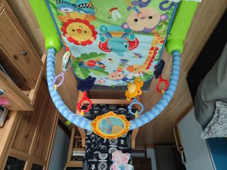 Parque actividades Fisher-Price