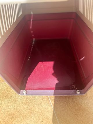 Transportín mascotas - Beige/Morado