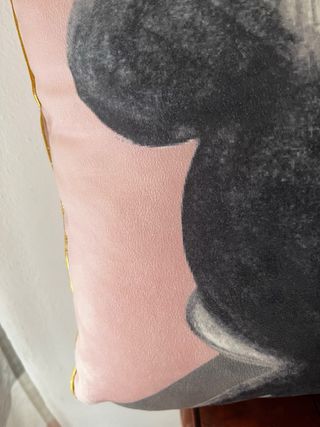 Cuscini Disney Primark - Set 2