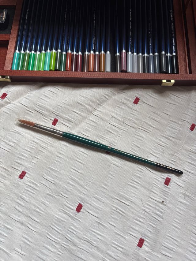 Matite acquerellabili Stabilo (60)