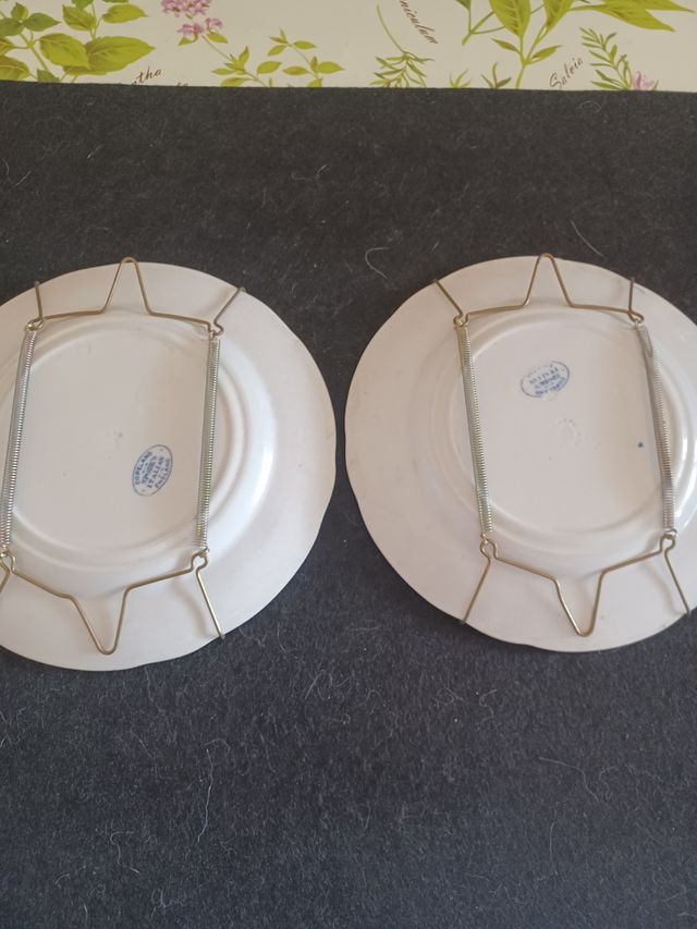 Set piatti collezione