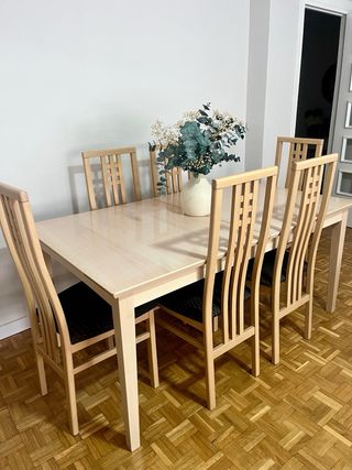 Mesa comedor y 6 sillas