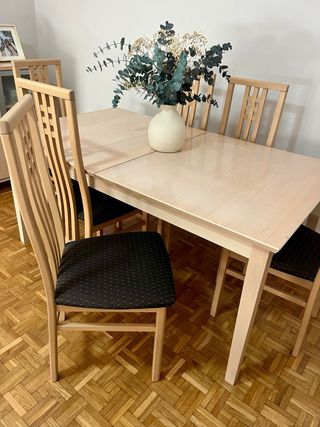 Mesa comedor y 6 sillas