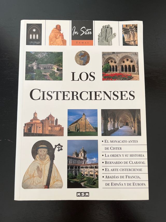 Los Cistercienses (In situ)