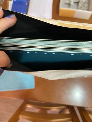 Placas Kodak Verilith PL perforadas ambos extremos