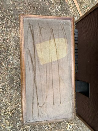 Órgano eléctrico Siel Alpha 40