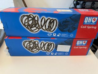 Muelles Suspencion Trasera Seat Ibiza 6L