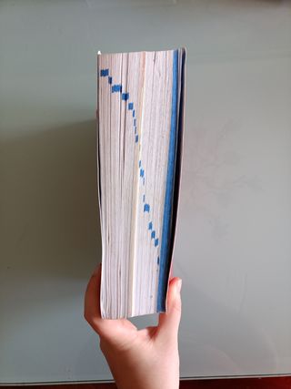 Diccionario de Primaria (Spanish and English Ed...