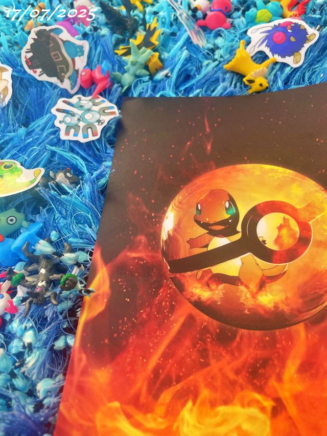 album pokemon charizard reflectante 240 cartas