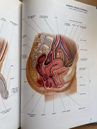 Diccionario Taber ciencias de la salud