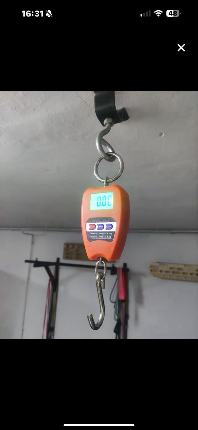 Lote 16 básculas grúa