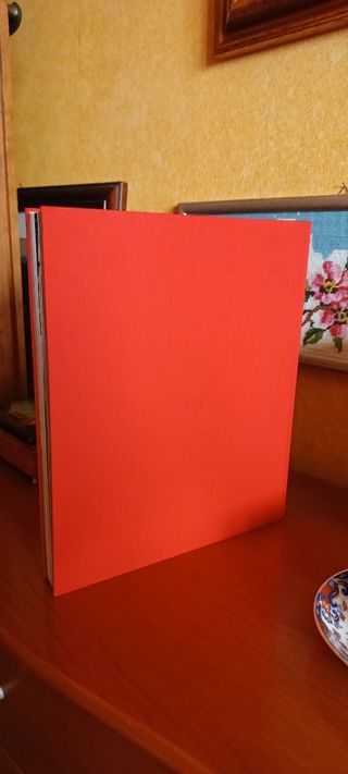 Dolce e gabbana catalogo