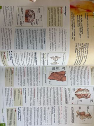 Manual de anatomía y fisiología humana. Enfermería