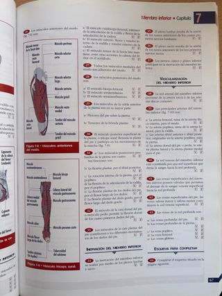 Manual de anatomía y fisiología humana. Enfermería