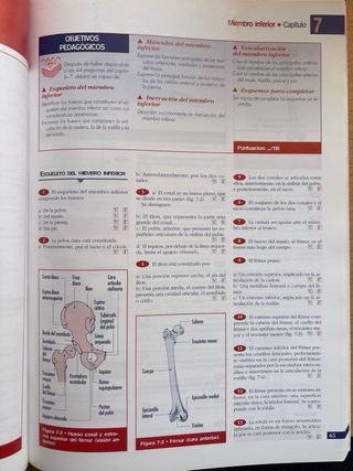 Manual de anatomía y fisiología humana. Enfermería