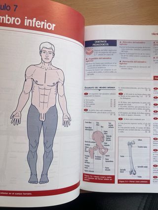 Manual de anatomía y fisiología humana. Enfermería
