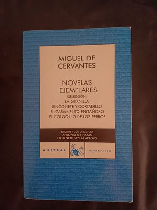 Novelas ejemplares. Selección