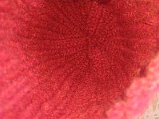 Gorro de lana rojo