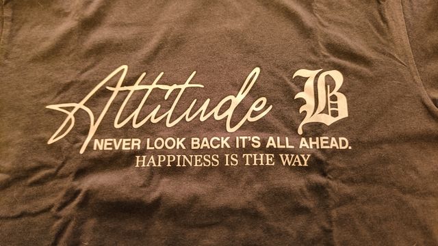 Camiseta Lefties gris ,Attitude talla L