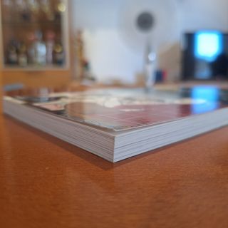 La Immortal (PREMI EDEBÉ de Literatura Infantil)