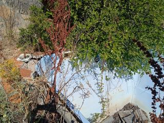 Busco empresa de instalación de piscina poliester