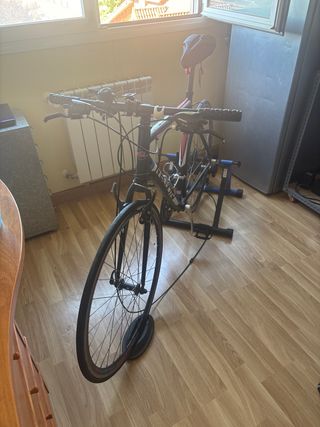 Bicicleta carretera Velocity y rodillos