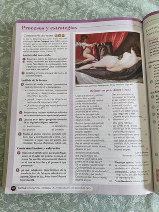 Lengua Castellana y Literatura I 1º Bachillerat...