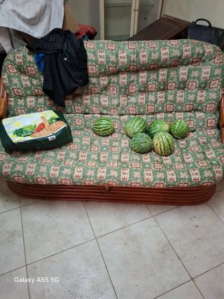 Due sedie girevoli e divano in rattan 