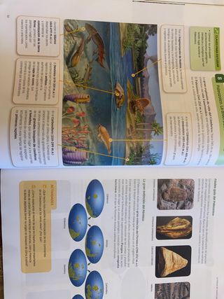 BIOLOGIA Y GEOLOGIA 4 de la ESO 