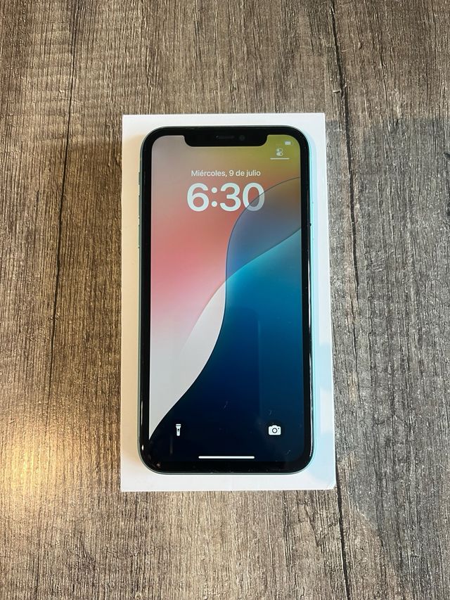 Apple iPhone 11 64gb Azul Celeste