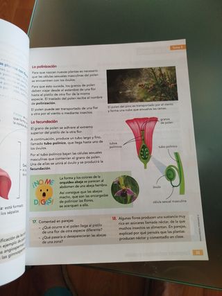 CONOCIMIENTO DEL MEDIO 4 VC (COMUNIDAD ZOOM)