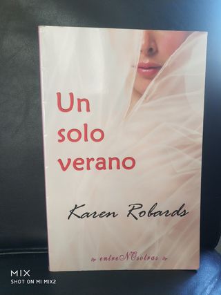Novela romántica: Un solo verano