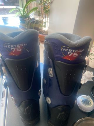 Botas Nordica de esquí