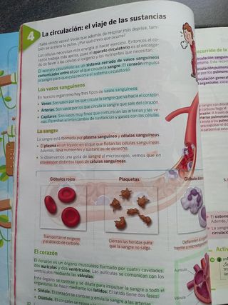 Ciencias Naturaleza. 6° Primaria. Savia. C.Madrid.