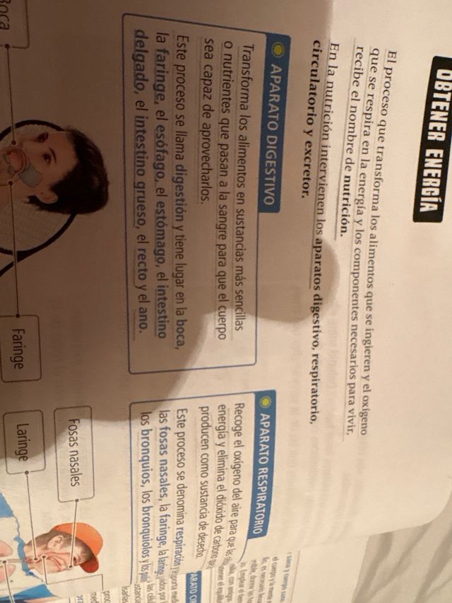 Proyecto: FanFest. Ciencias de la Naturaleza 5 ...