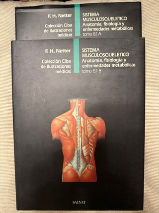 Sistema musculosqueletico : anatomia, fisiologi...