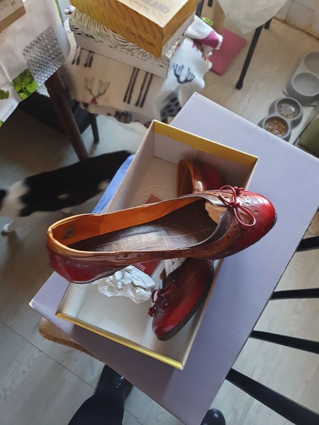 Zapatos Atlas rojos y marrones
