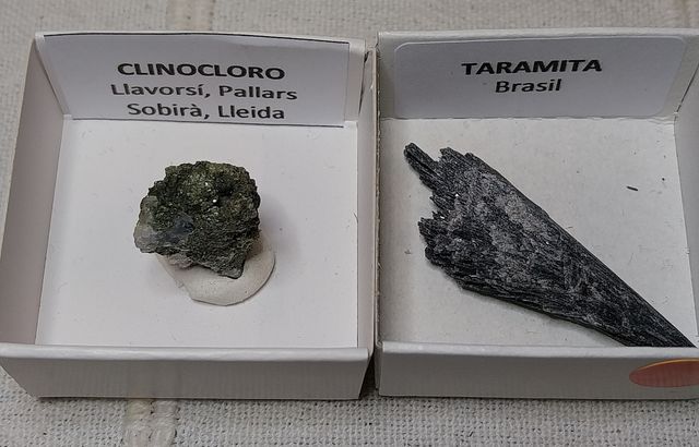 Lotto di 12 minerali in scatole da 4 x 4