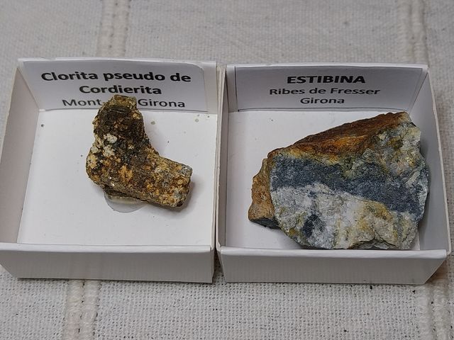 Lotto di 12 minerali in scatole da 4 x 4