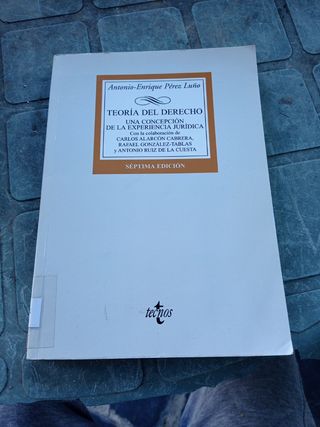 Teoria del derecho/ Theory of Law: Una Concepci...