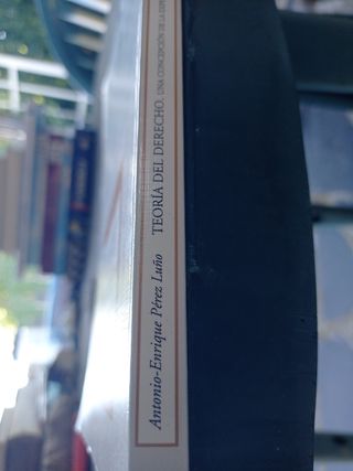 Teoria del derecho/ Theory of Law: Una Concepci...