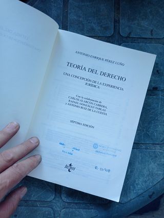 Teoria del derecho/ Theory of Law: Una Concepci...