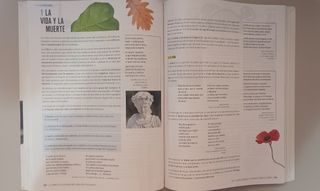 Proyecto: Para que las cosas ocurran - Lengua C...