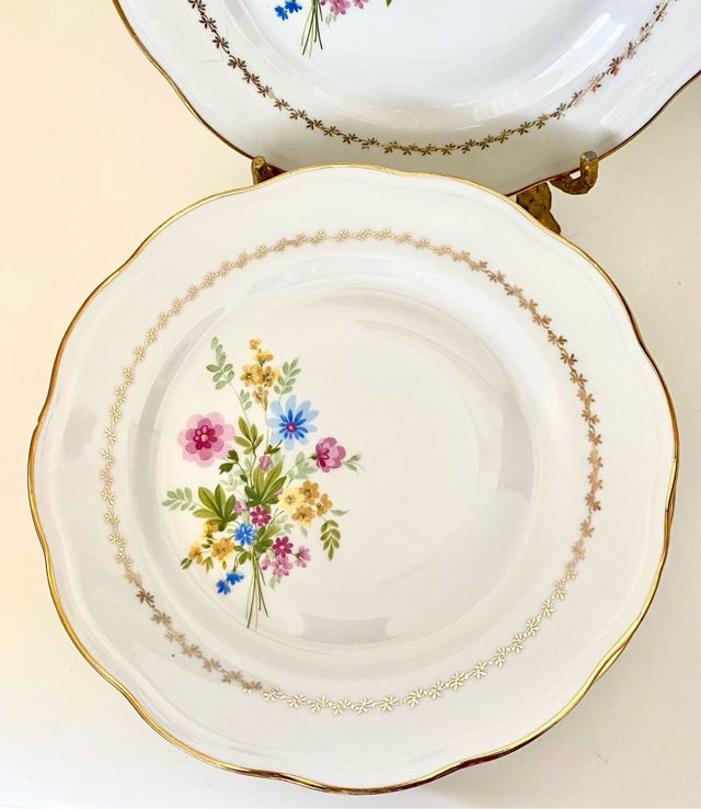 Vajilla de porcelana francesa vintage - 10 platos