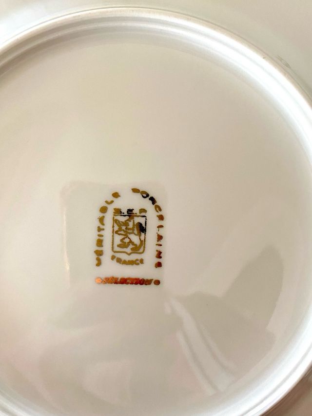 Vajilla de porcelana francesa vintage - 10 platos