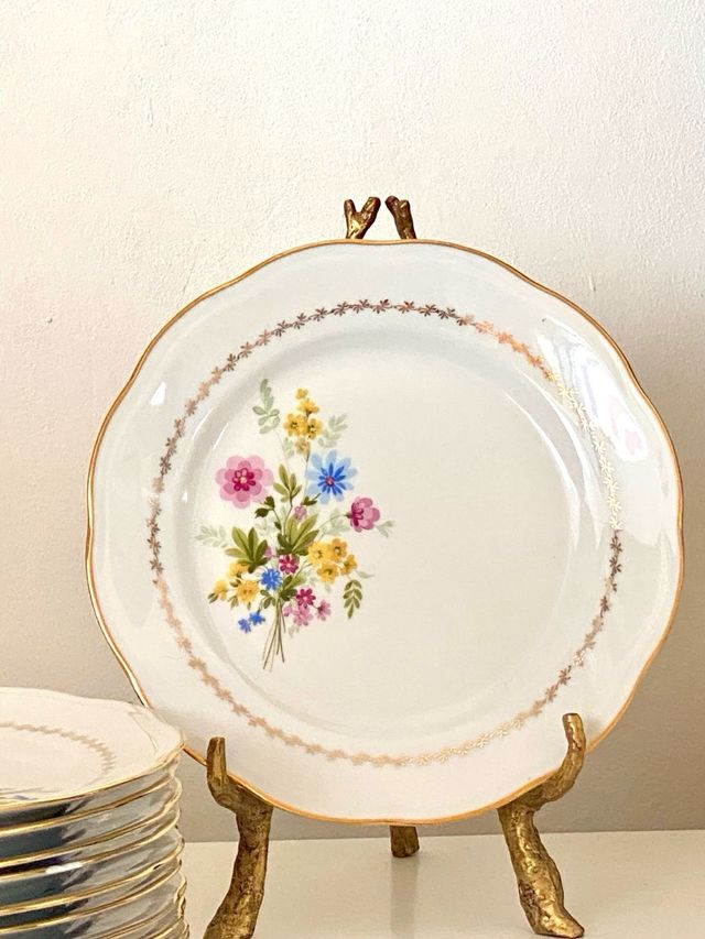 Vajilla de porcelana francesa vintage - 10 platos