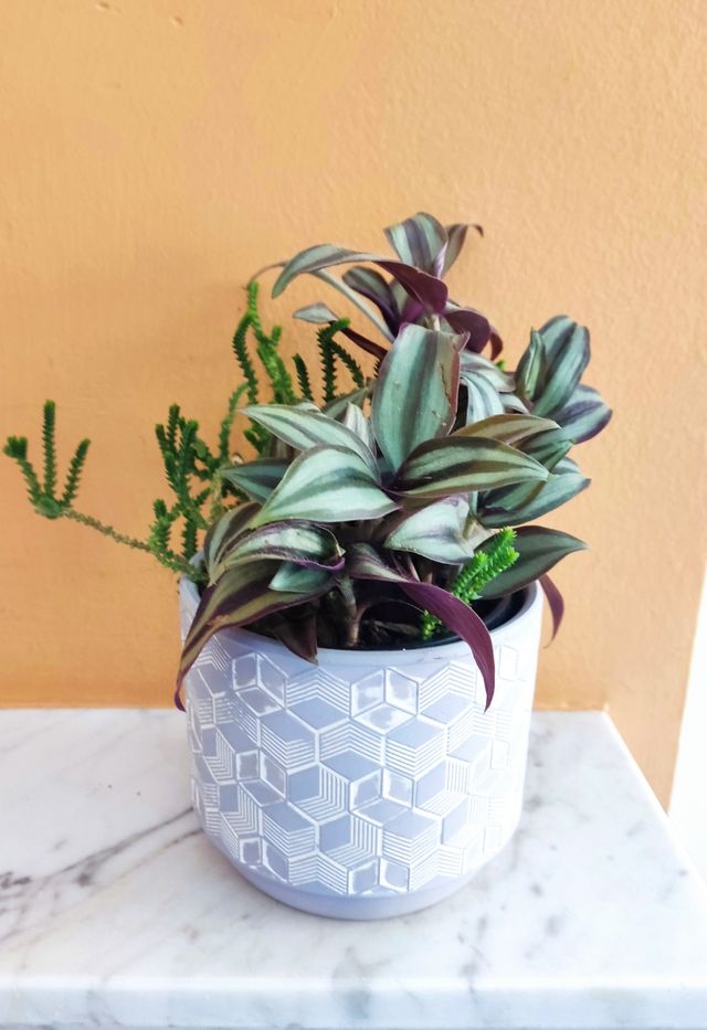 Fioriera/fioriera geometrica grigia - ceramica